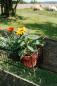 Preview: Wandblumenkorb