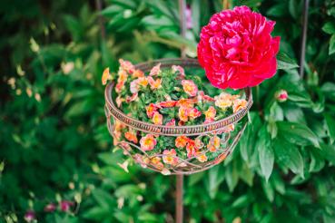 Preview: Steckkorb H80