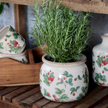 Preview: Fraises Blumentopf